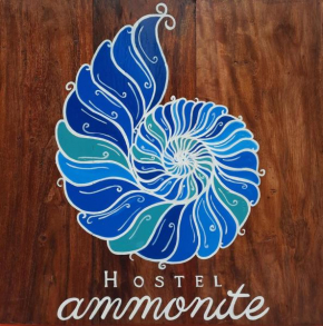 Ammonite Hostel - Itacaré